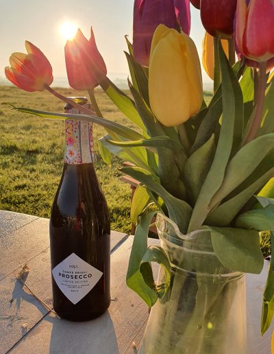 Tulips and an empty bottle of prosecco in the early morning sunrise